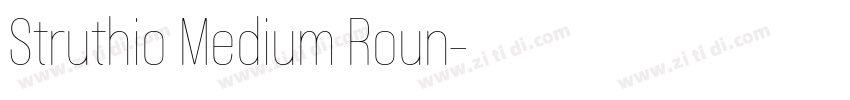 Struthio Medium Roun字体转换